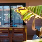 Casa Mia - No Stress Holidays 拉哈雷斯
